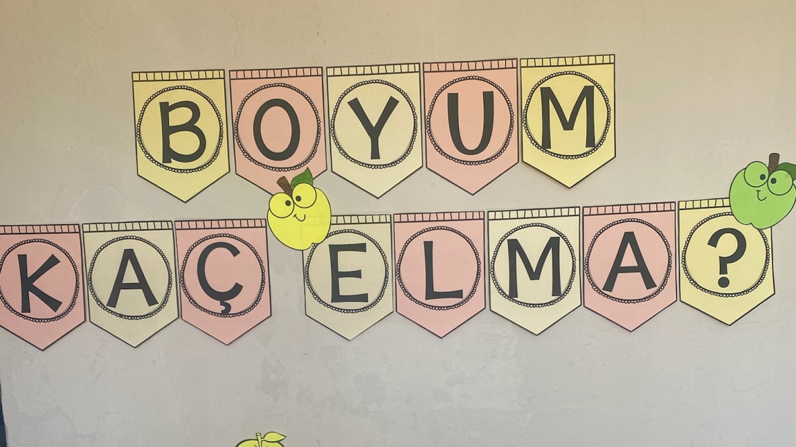  Boyum Kaç Elma? 